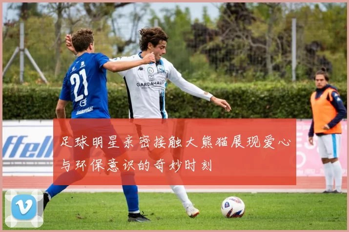 足球明星亲密接触大熊猫展现爱心与环保意识的奇妙时刻