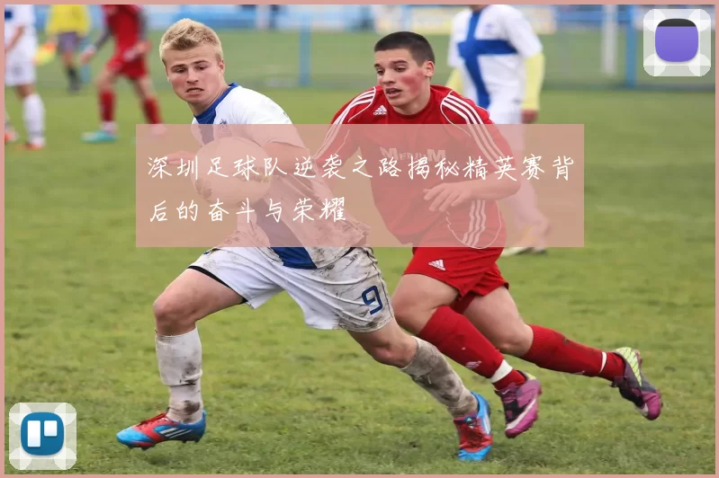 深圳足球队逆袭之路揭秘精英赛背后的奋斗与荣耀