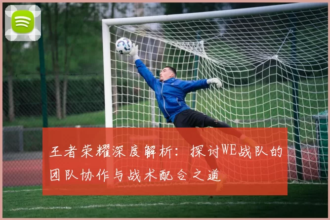 王者荣耀深度解析：探讨WE战队的团队协作与战术配合之道
