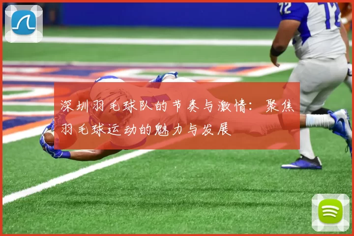 深圳羽毛球队的节奏与激情：聚焦羽毛球运动的魅力与发展