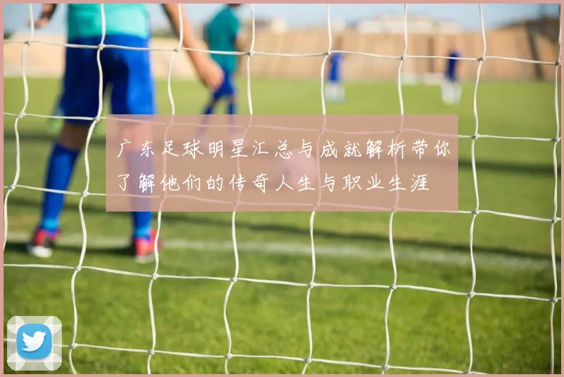 广东足球明星汇总与成就解析带你了解他们的传奇人生与职业生涯