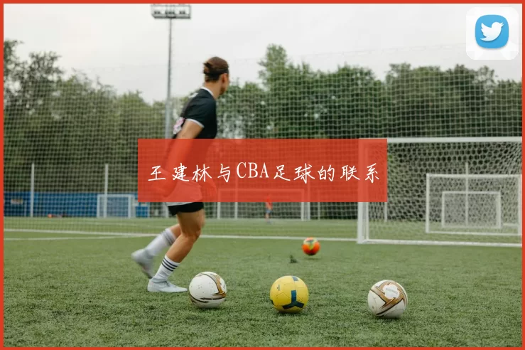 王建林与CBA足球的联系