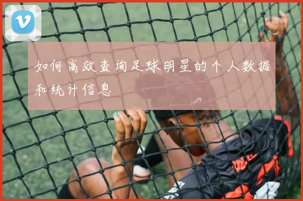 如何高效查询足球明星的个人数据和统计信息