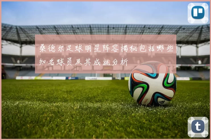 桑德尔足球明星阵容揭秘包括哪些知名球员及其成就分析