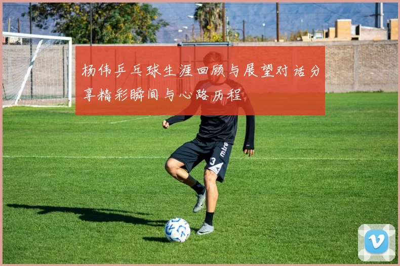杨伟乒乓球生涯回顾与展望对话分享精彩瞬间与心路历程