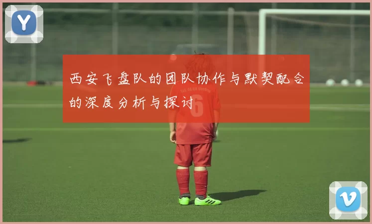 西安飞盘队的团队协作与默契配合的深度分析与探讨