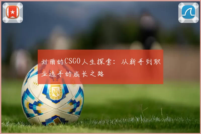 刘丽的CSGO人生探索：从新手到职业选手的成长之路