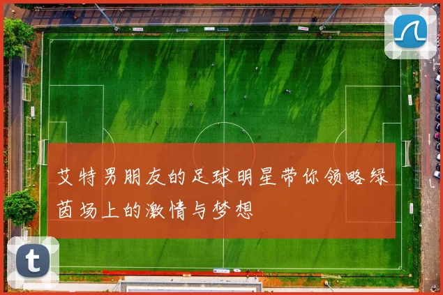 艾特男朋友的足球明星带你领略绿茵场上的激情与梦想