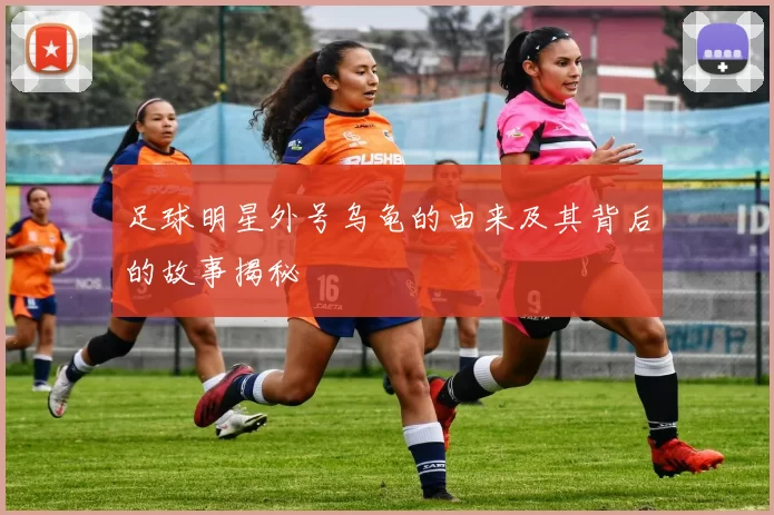足球明星外号乌龟的由来及其背后的故事揭秘