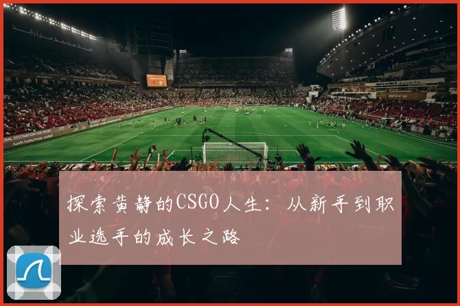 探索黄静的CSGO人生：从新手到职业选手的成长之路