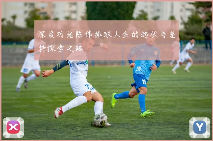 深度对话陈伟排球人生的起伏与坚持探索之路