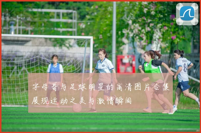 字母哥与足球明星的高清图片合集展现运动之美与激情瞬间