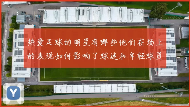热爱足球的明星有哪些他们在场上的表现如何影响了球迷和年轻球员