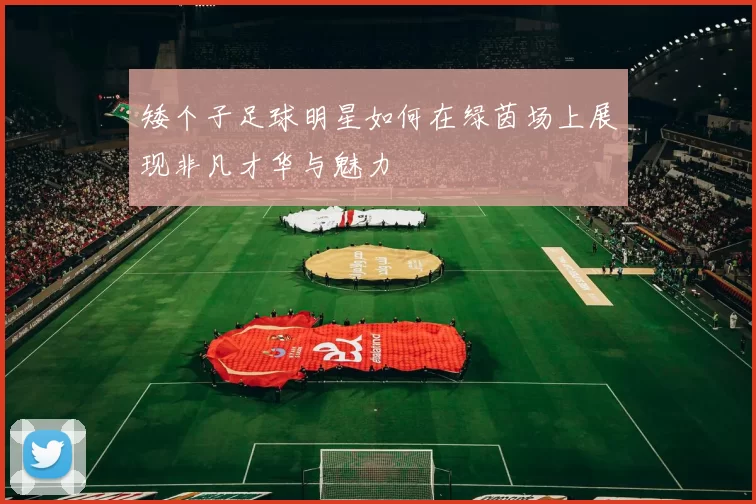 矮个子足球明星如何在绿茵场上展现非凡才华与魅力
