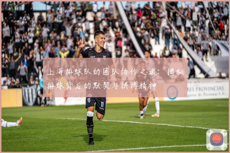 上海排球队的团队协作之道：揭秘排球背后的默契与拼搏精神