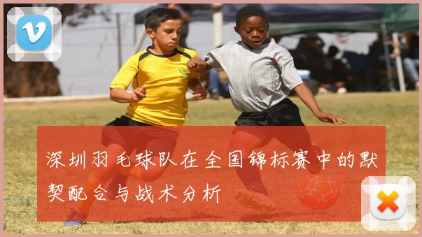 深圳羽毛球队在全国锦标赛中的默契配合与战术分析
