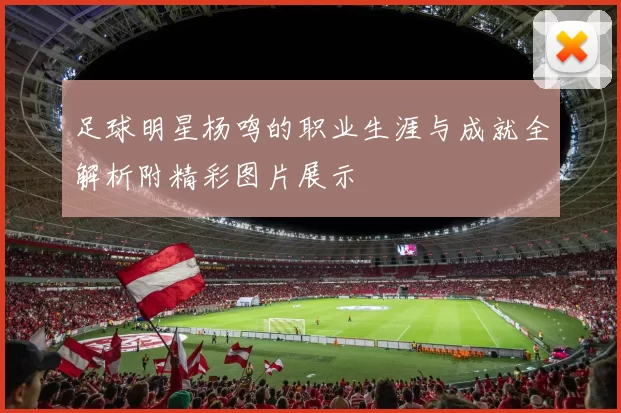 足球明星杨鸣的职业生涯与成就全解析附精彩图片展示