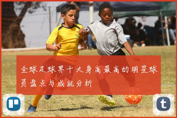 全球足球界十大身高最高的明星球员盘点与成就分析